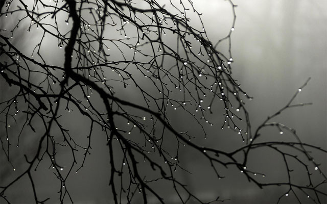 55-Lovely-and-beautiful-photographs-of-rain-1.jpeg