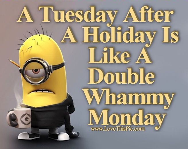 175681-A-Tuesday-After-A-Holiday-Is-Like-A-Double-Whammy-Monday.jpg