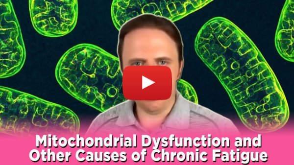 Mitochondrial Dysfunction & Other Causes of Chronic Fatigue- Mold & Candida Contribute |Podcast #287