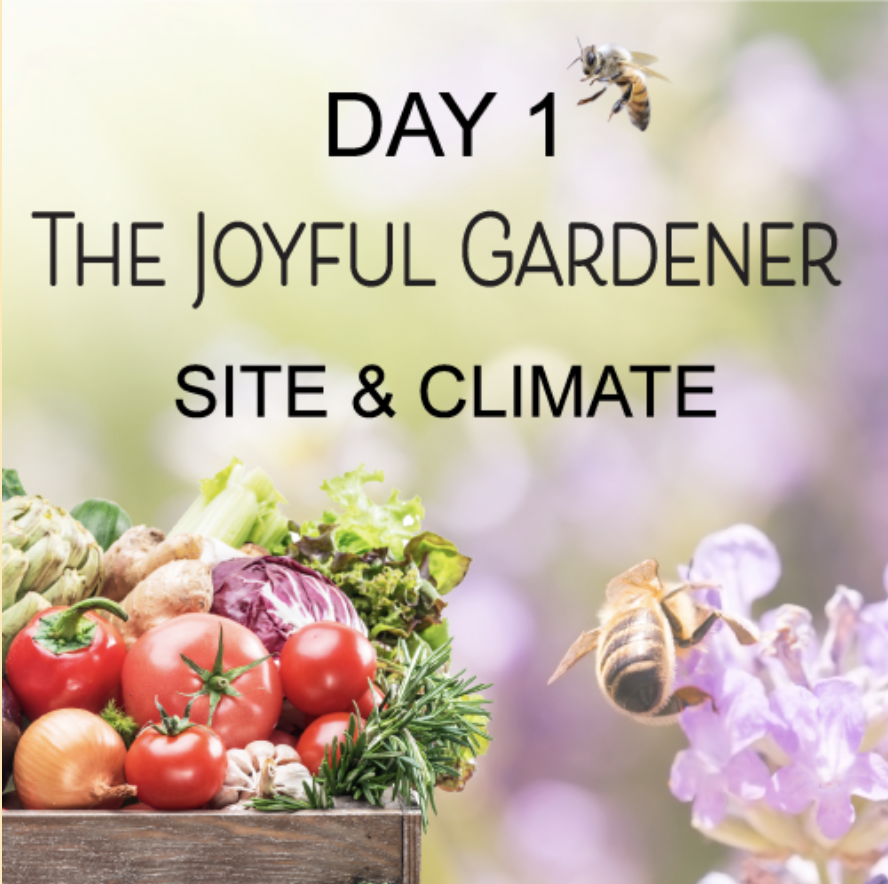 Day 1: Site & Climate