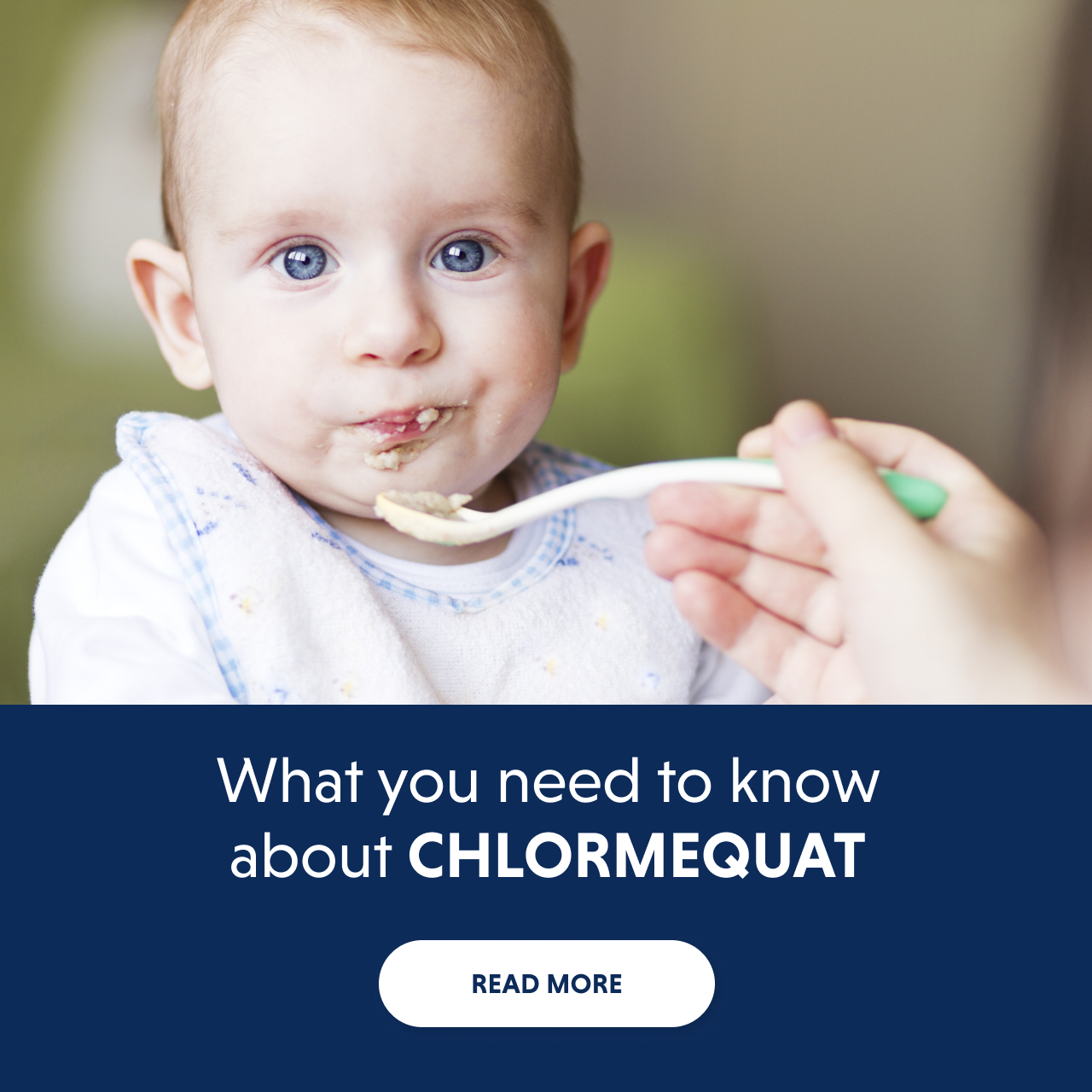 What you need to know about chlormequat - READ MORE