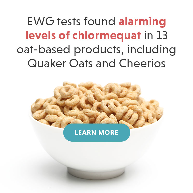 EWG tests found alarming levels of chlormequat in 13 oat-based products
