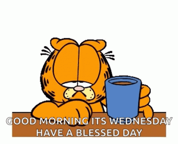 good-morning-wednesday-blessed-day-coffee-garfield-cheers-9o3dnnzo5hu9566q.gif