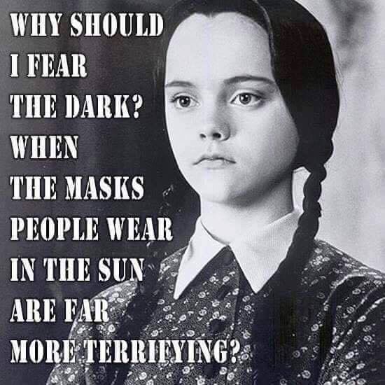 84a86d40653fbbe8cabd5c0fa0081fb5--horror-quotes-wednesday-addams.jpg