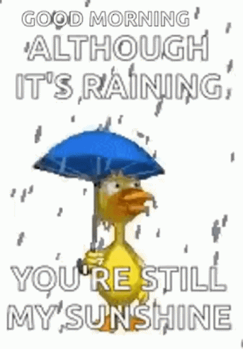 although-its-raining-youre-still-my-sunshine-duck.gif