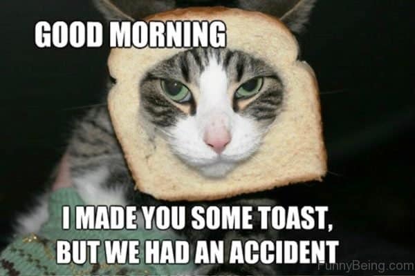 i-made-you-some-toast-good-morning-meme.jpg