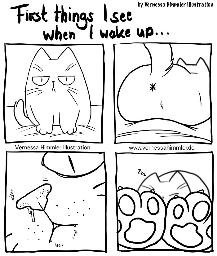 funny-cat-owner-life-comics-vernessa-himmler-44-5be54dabb88f2__700.jpg