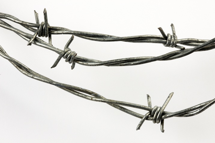 barbed-wire-jpg.556319