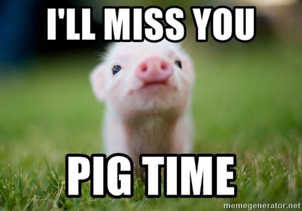 ill-miss-you-pig-time1000-5aaab246642dca0036f1cf7a.jpg