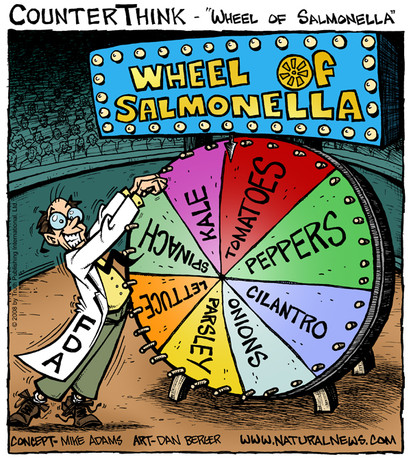 wheel-of-salmonella_600.jpg