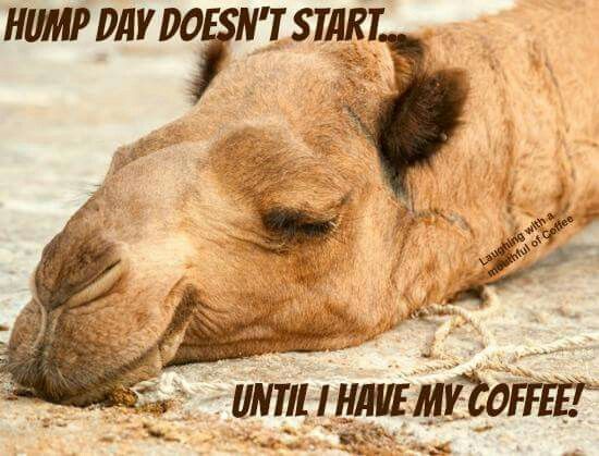 Coffee-Wednesday-Memes.jpg